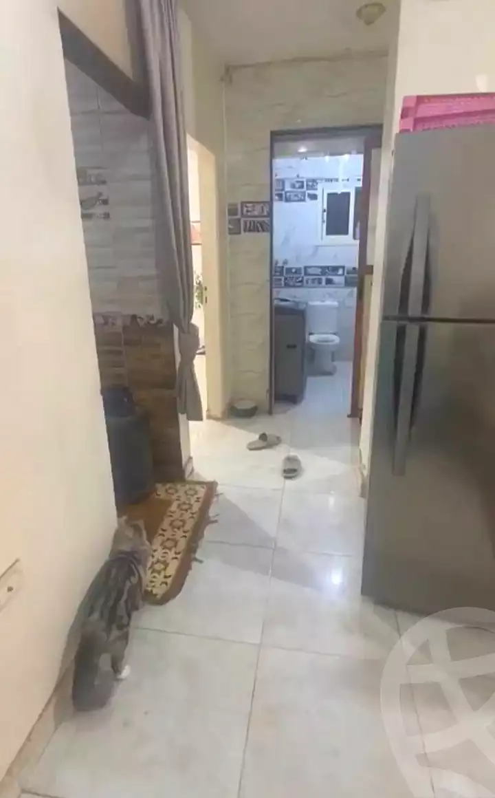 https://aqarmap.com.eg/en/listing/7206948-for-sale-cairo-ain-shams-ain-shams-el-sharkia