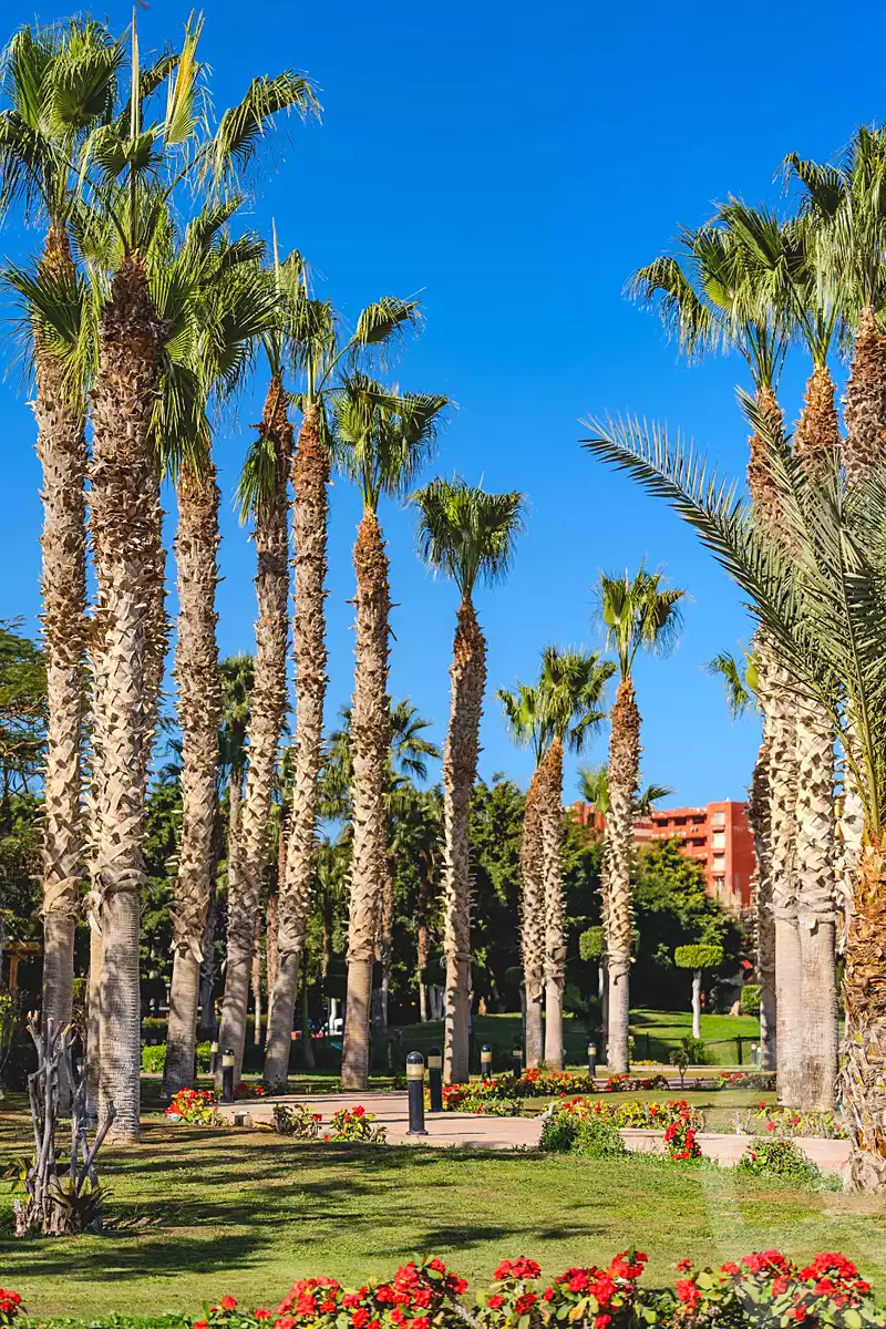 https://aqarmap.com.eg/ar/listing/7207421-for-sale-north-coast-resorts-porto-golf-marina