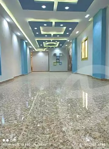 https://aqarmap.com.eg/en/listing/7208302-for-rent-cairo-faisal