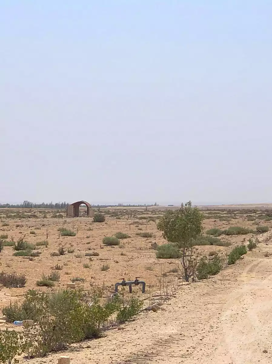 https://aqarmap.com.eg/en/listing/7209724-for-sale-dakahlia-gamasa-15-may-city