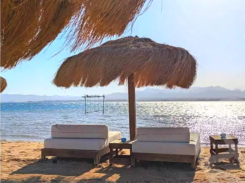 https://aqarmap.com.eg/en/listing/7213453-for-sale-north-coast-new-alamein-mntj-t-l-lmyn-ljdyd-kmbwnd-mzryn