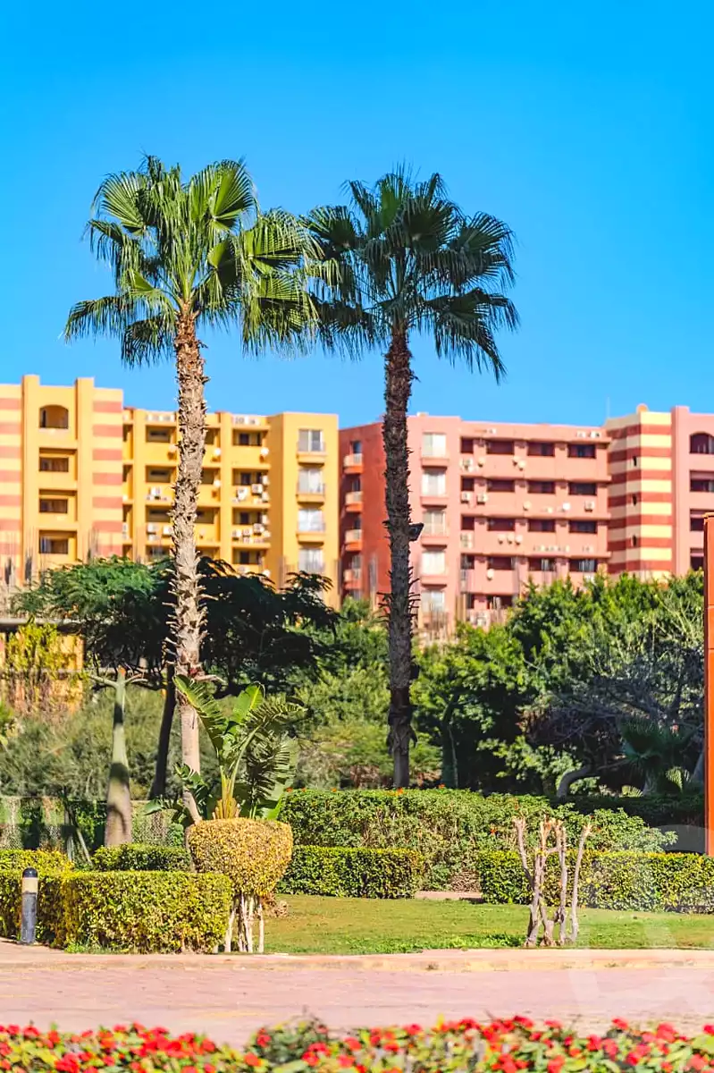 https://aqarmap.com.eg/en/listing/7213447-for-sale-north-coast-resorts-porto-golf-marina