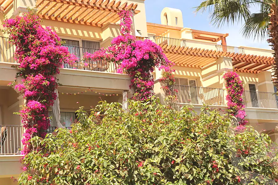 https://aqarmap.com.eg/ar/listing/7216476-for-sale-red-sea-sahl-hasheesh-sahl-hasheesh-resorts-veranda