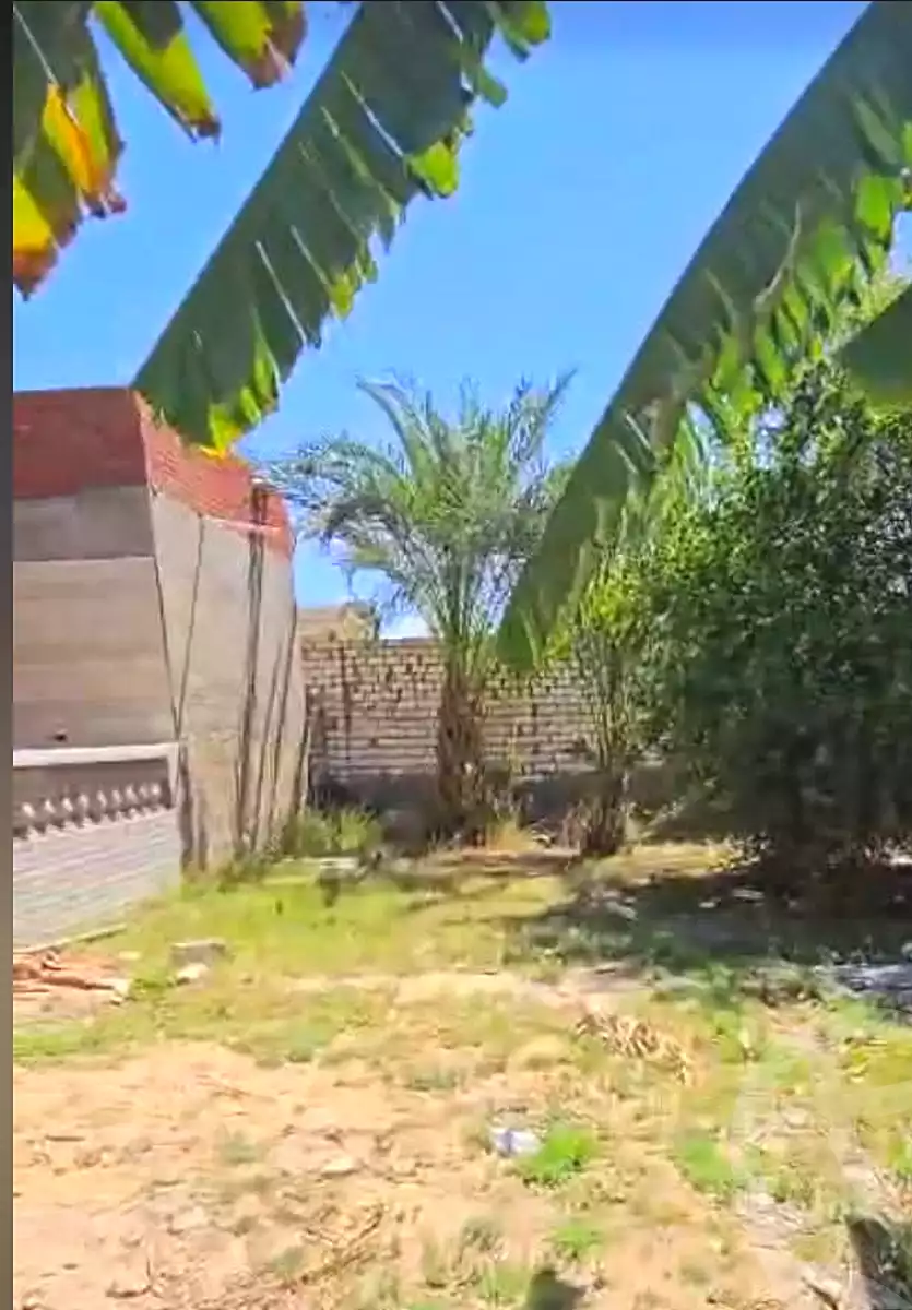 https://aqarmap.com.eg/ar/listing/7217667-for-sale-alexandria-abu-talat