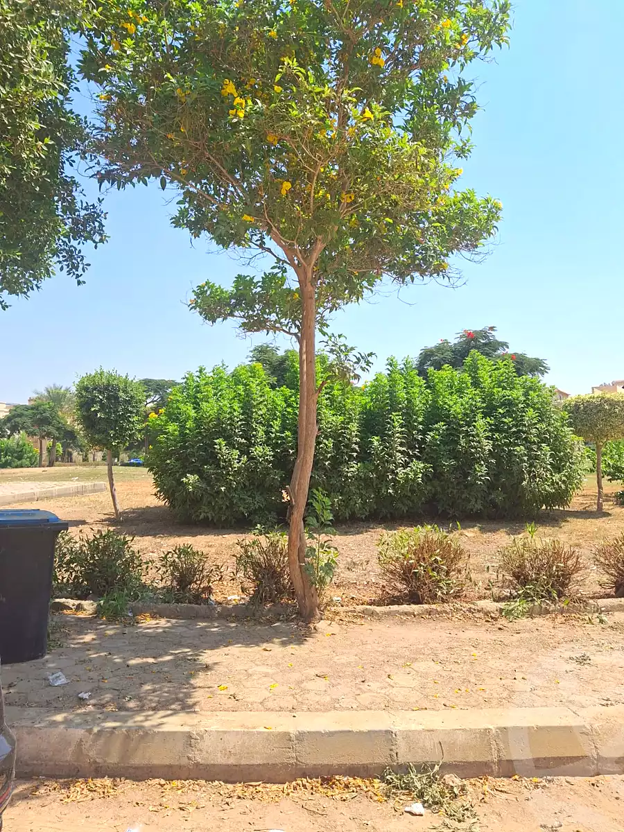 https://aqarmap.com.eg/ar/listing/7223924-for-sale-cairo-new-cairo-el-banafsg-el-banafsag-11-suleiman-al-halabi-st