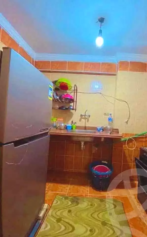 https://aqarmap.com.eg/en/listing/7226350-for-rent-alexandria-miami-hasan-zagmor-st