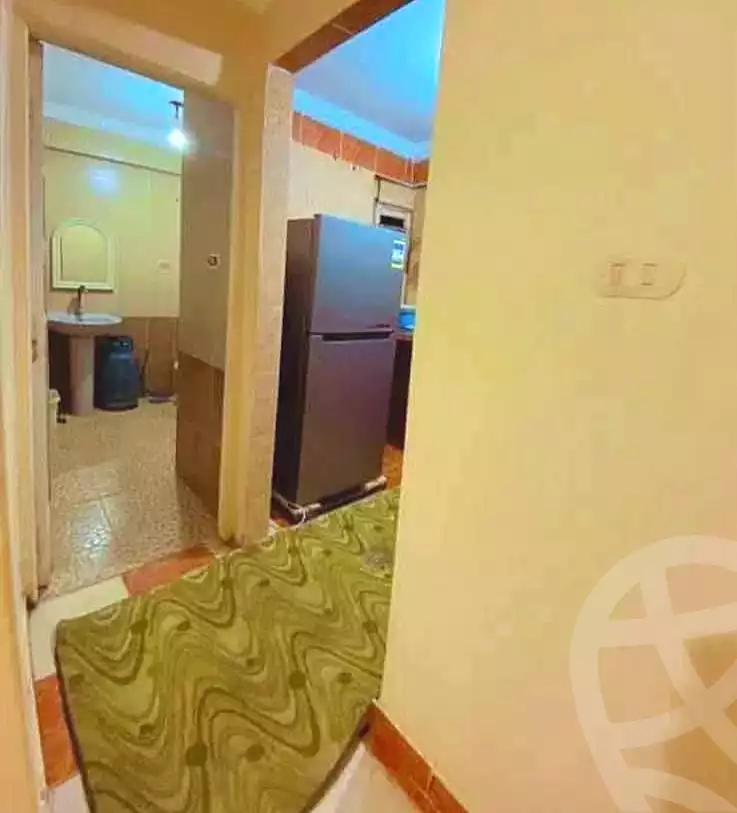 https://aqarmap.com.eg/en/listing/7226350-for-rent-alexandria-miami-hasan-zagmor-st