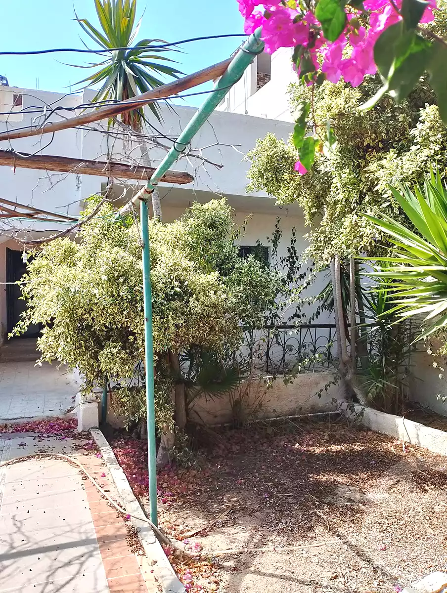 https://aqarmap.com.eg/en/listing/7227274-for-sale-alexandria-abu-talat