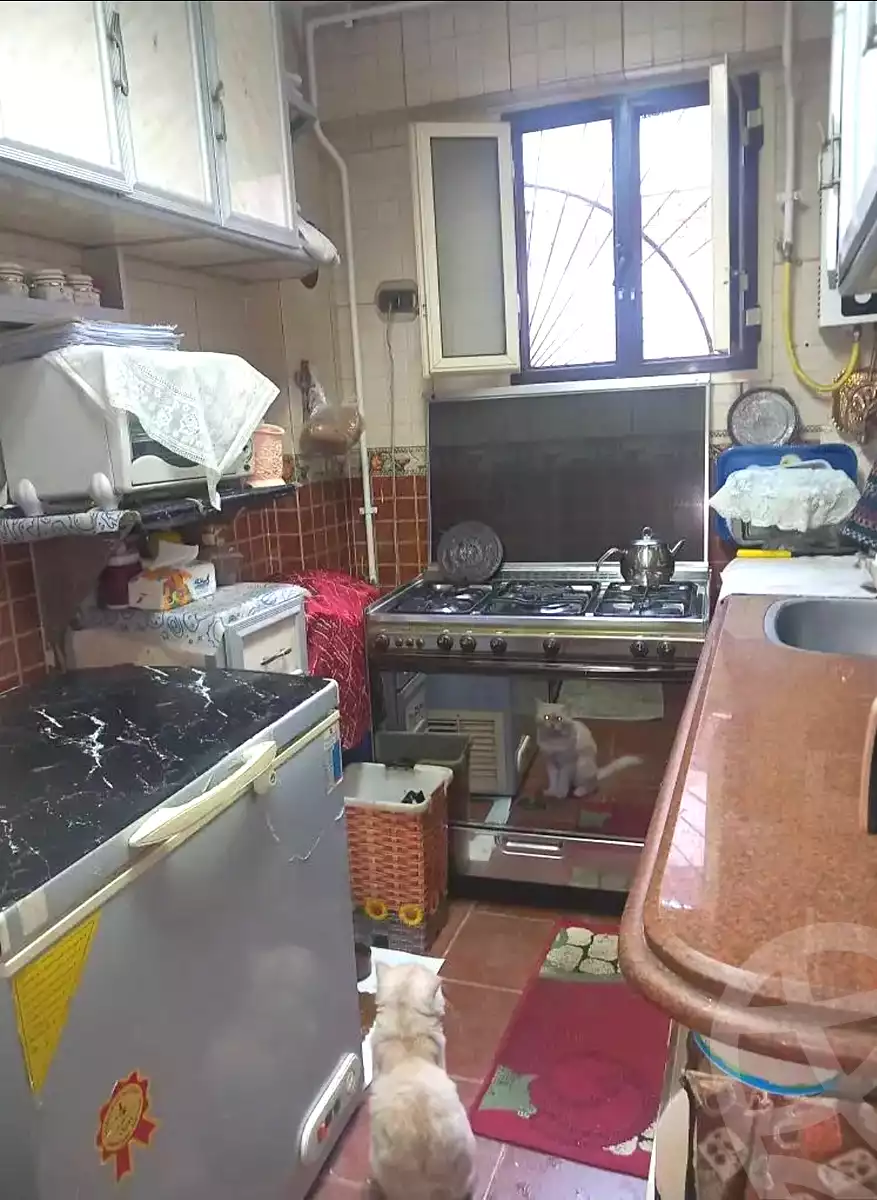 https://aqarmap.com.eg/ar/listing/7228548-for-sale-alexandria-alhadara-new-el-hadra