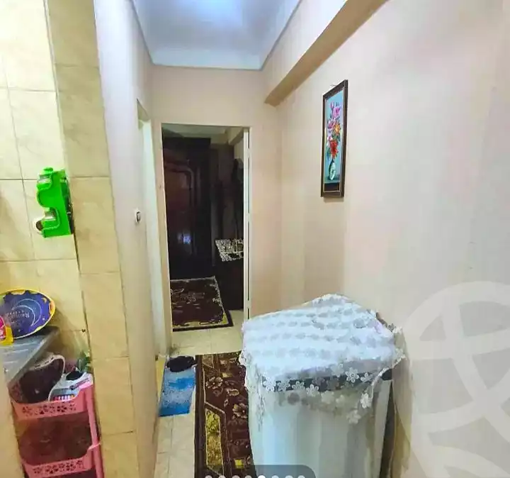 https://aqarmap.com.eg/en/listing/7232811-for-sale-alexandria-lsywf
