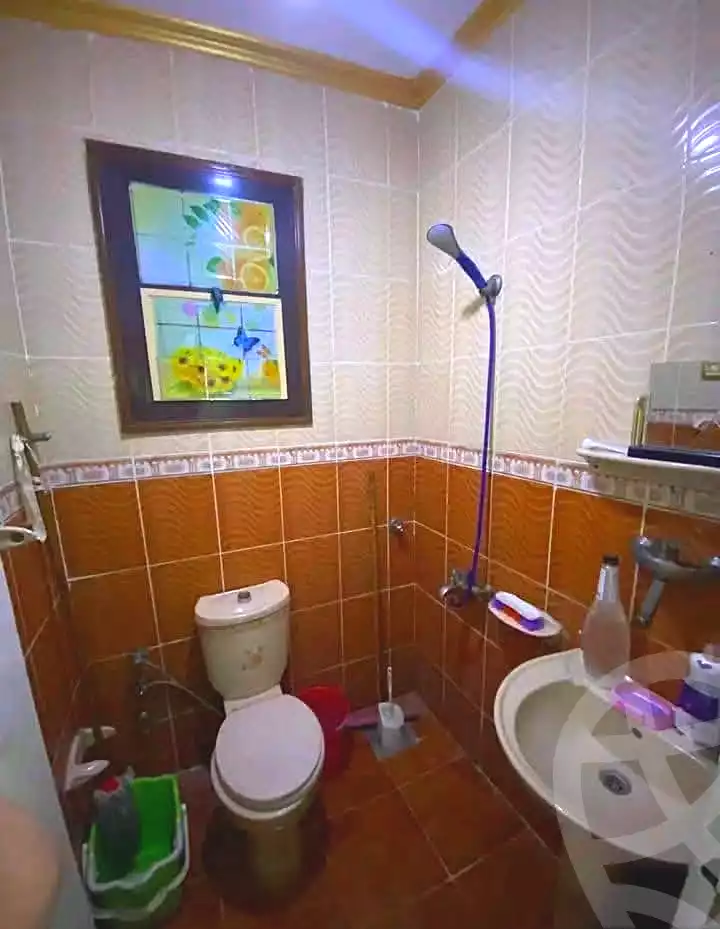 https://aqarmap.com.eg/ar/listing/7232823-for-sale-alexandria-lsywf-el-falki