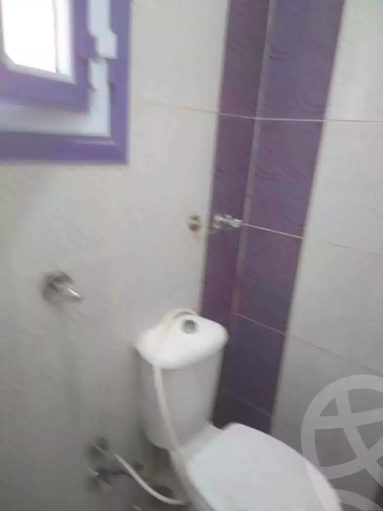 https://aqarmap.com.eg/ar/listing/7233204-for-rent-alexandria-el-asafra-shr-45