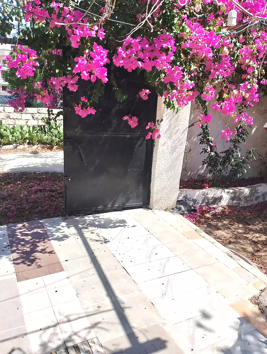 https://aqarmap.com.eg/ar/listing/7234246-for-sale-alexandria-abu-talat