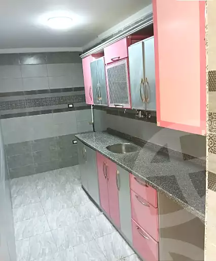 https://aqarmap.com.eg/en/listing/7234774-for-sale-alexandria-el-asafra-shr-jml-bd-lnsr