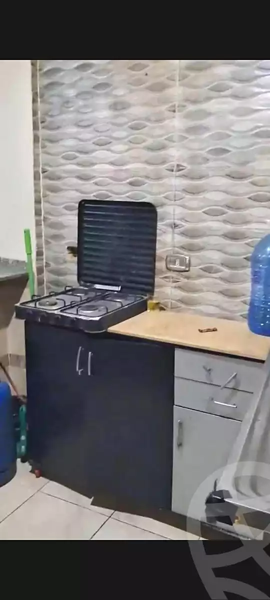 https://aqarmap.com.eg/en/listing/7235346-for-rent-cairo-faisal
