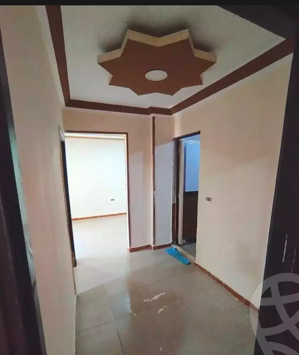 https://aqarmap.com.eg/en/listing/7235426-for-rent-alexandria-lsywf-el-falki