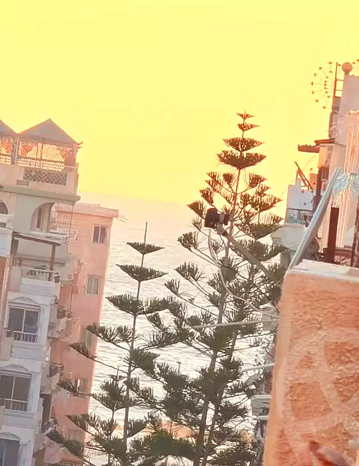 https://aqarmap.com.eg/ar/listing/7236920-for-sale-alexandria-al-agamy-shataa-el-nakheel