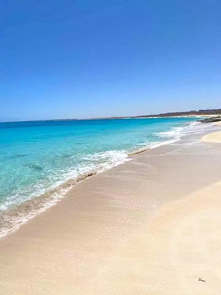https://aqarmap.com.eg/en/listing/7237918-for-sale-north-coast-resorts-zoya-ghazala-bay-lmd