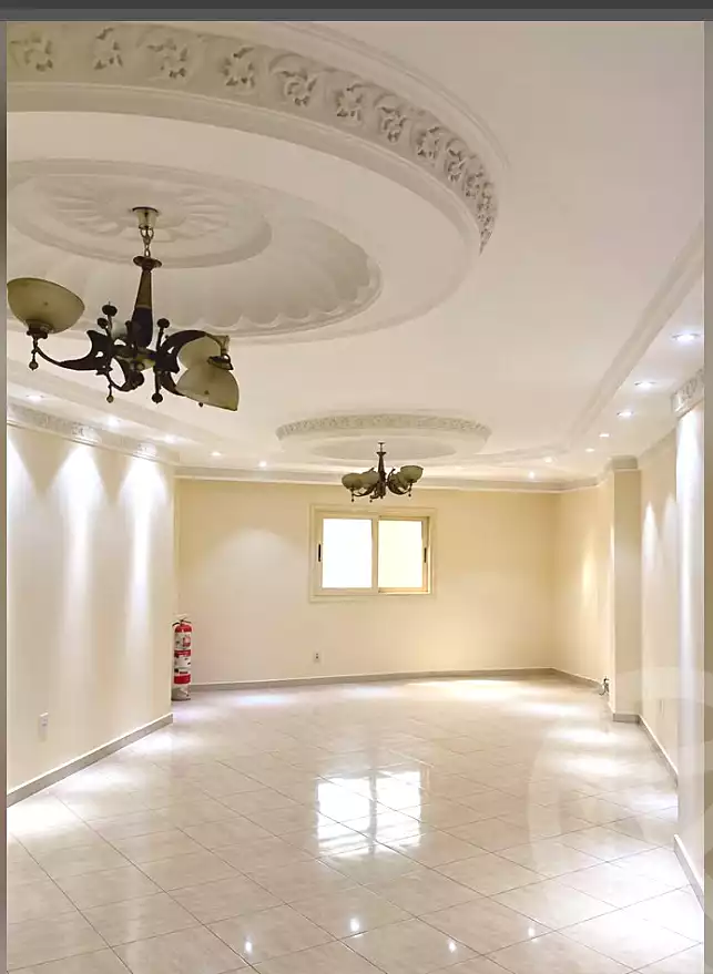 https://aqarmap.com.eg/en/listing/7239045-for-rent-cairo-faisal