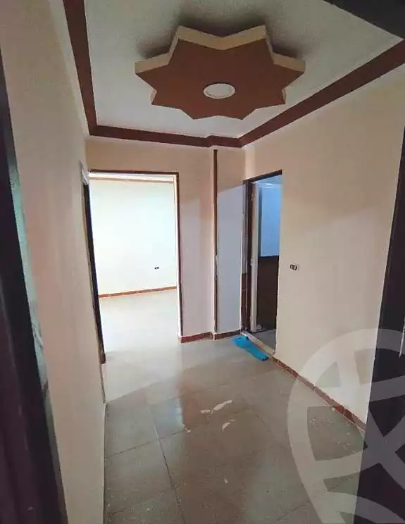 https://aqarmap.com.eg/en/listing/7239561-for-rent-alexandria-lsywf-el-falki