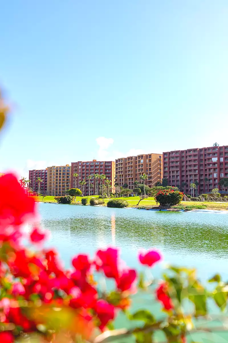 https://aqarmap.com.eg/ar/listing/7240917-for-sale-north-coast-resorts-porto-golf-marina