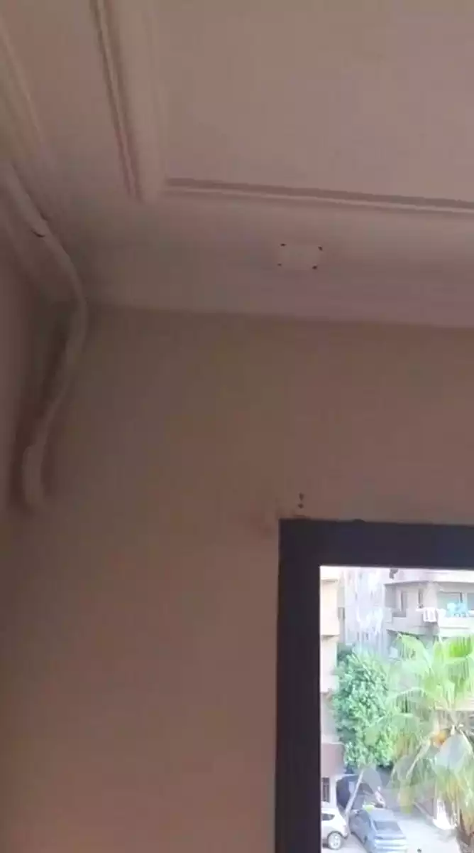 https://aqarmap.com.eg/ar/listing/7242975-for-rent-cairo-faisal-shareaa-el-malek-fasel