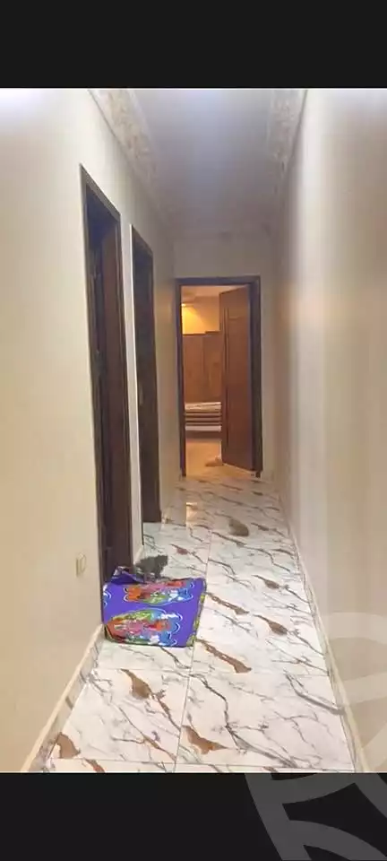 https://aqarmap.com.eg/en/listing/7243135-for-rent-cairo-faisal