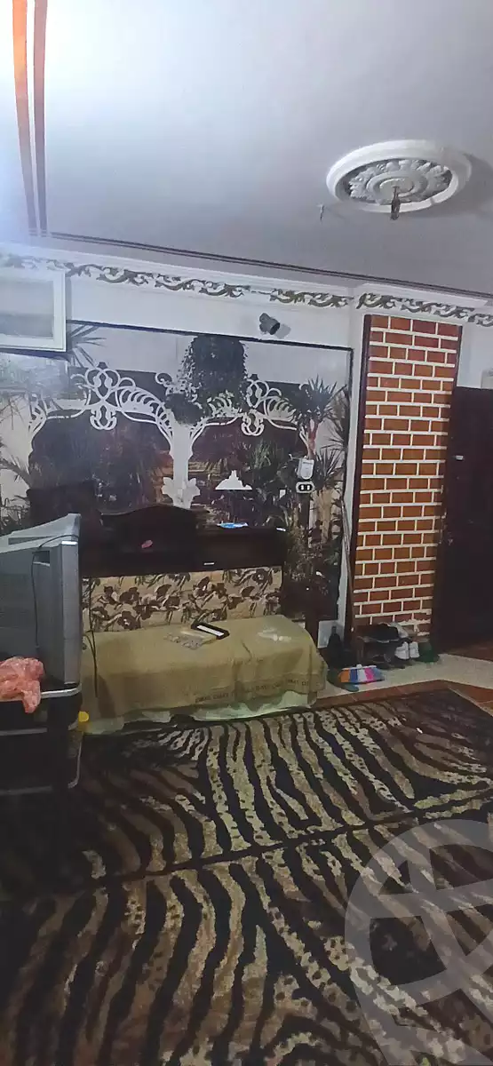 https://aqarmap.com.eg/en/listing/7243844-for-sale-alexandria-al-agamy-el-hanouvel