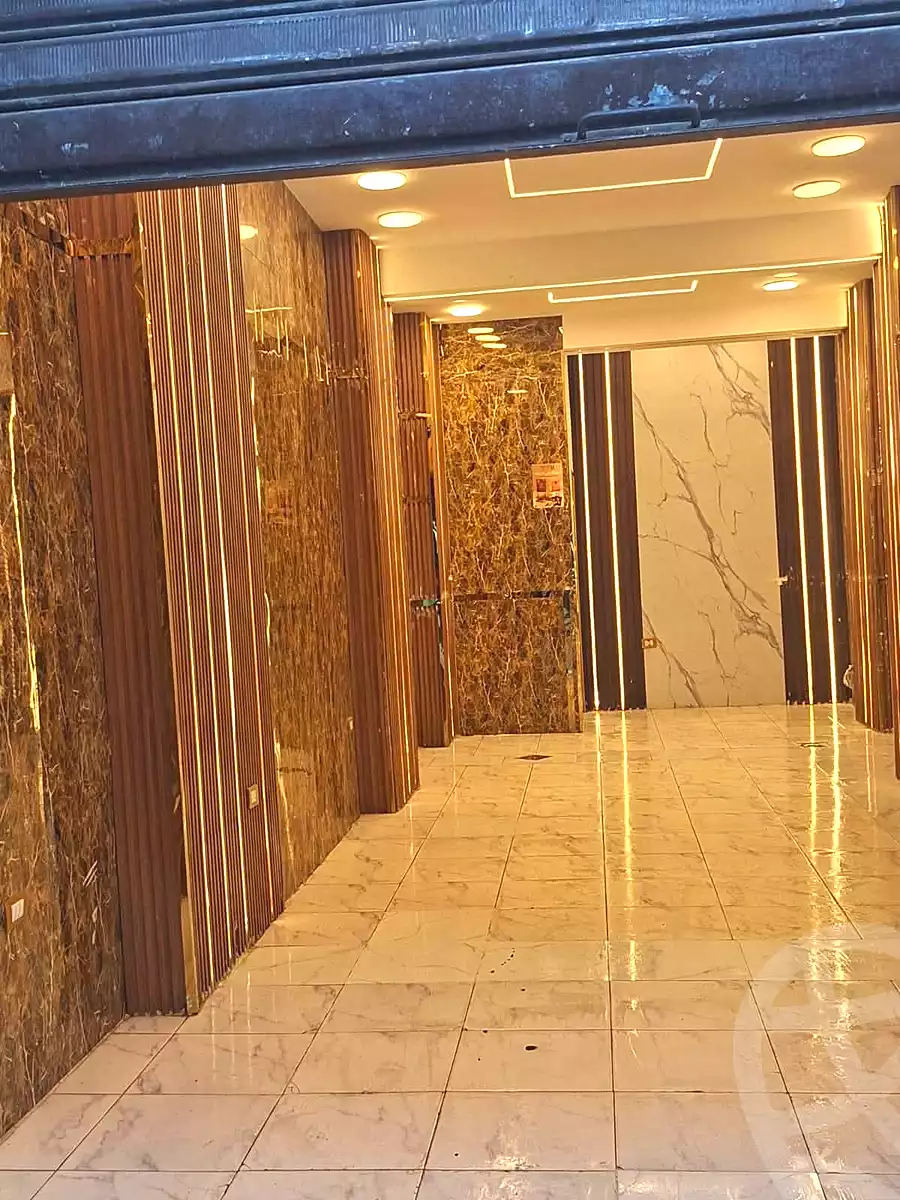 https://aqarmap.com.eg/en/listing/7247017-for-rent-alexandria-bakoos-cinema-layla-st