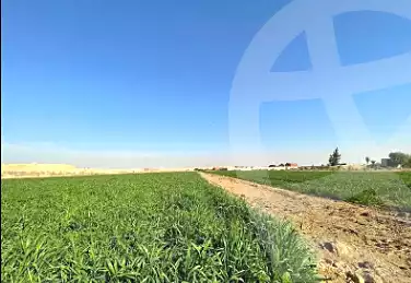 https://aqarmap.com.eg/ar/listing/7252325-for-rent-el-fayoum-tamiya-tamiyyah-city