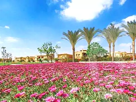 https://aqarmap.com.eg/ar/listing/7252328-for-sale-cairo-new-cairo-90th-street-south-teseen-st