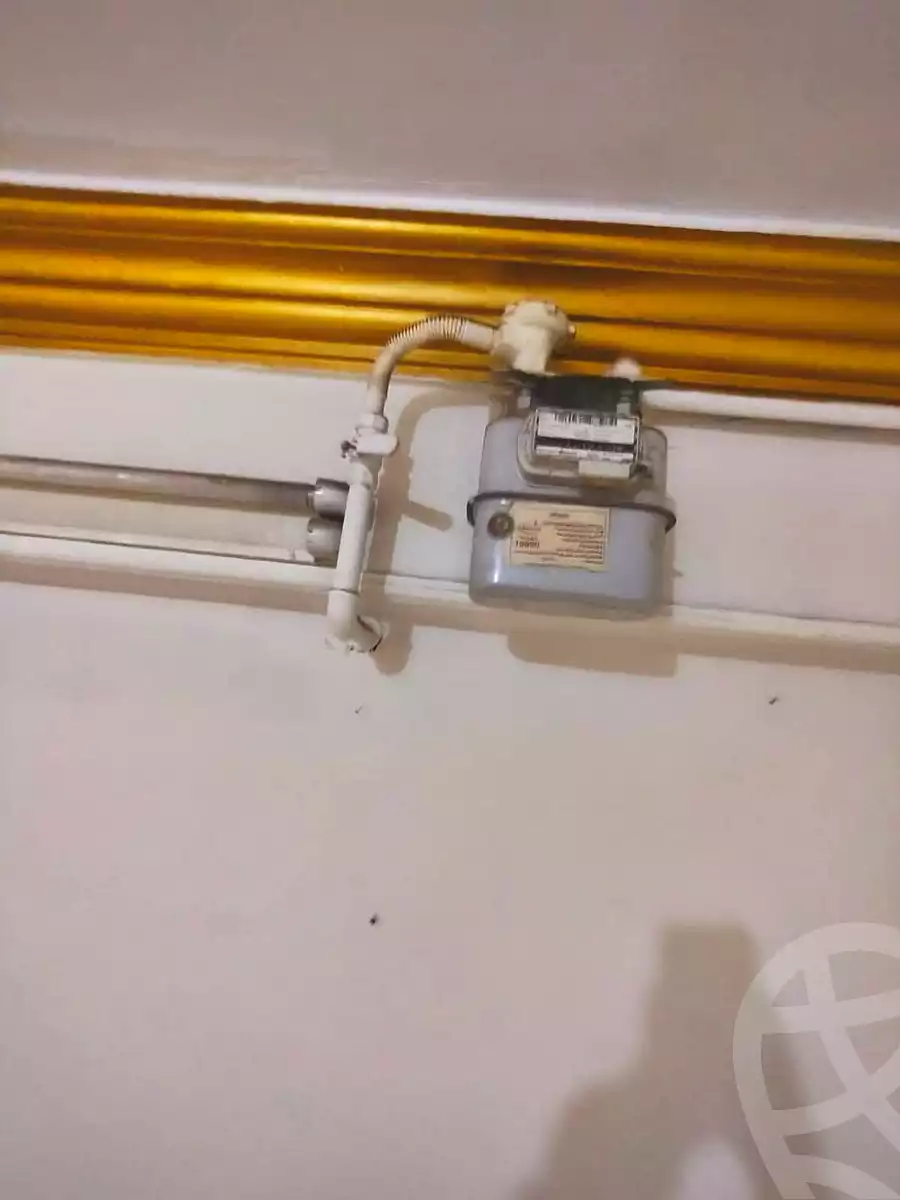 https://aqarmap.com.eg/ar/listing/7253788-for-rent-cairo-nozha-2-gesr-el-suez-st