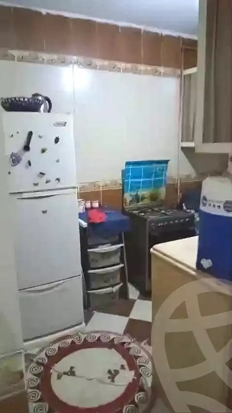 https://aqarmap.com.eg/en/listing/7253947-for-sale-alexandria-al-agamy-khair-allah-st