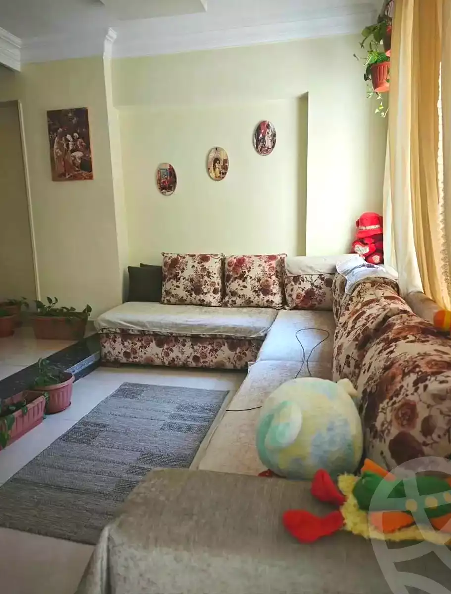 https://aqarmap.com.eg/en/listing/7257871-for-sale-cairo-helwan-zou-el-fekar-basha-st