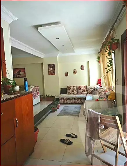 https://aqarmap.com.eg/en/listing/7257949-for-sale-cairo-helwan-zou-el-fekar-basha-st