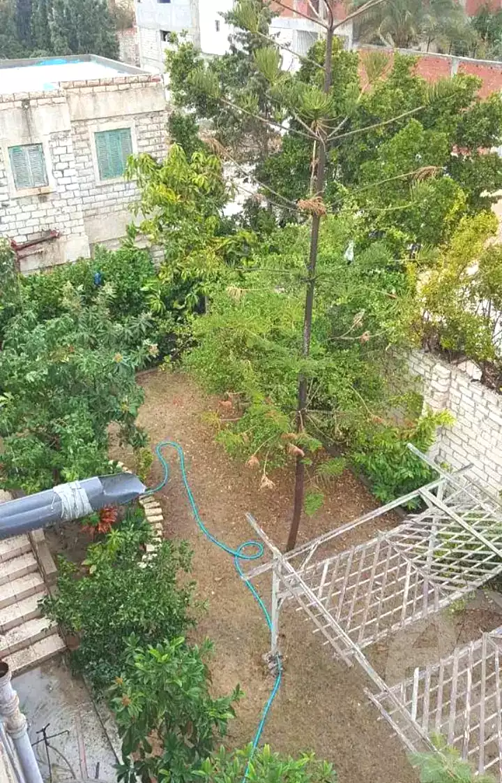 https://aqarmap.com.eg/en/listing/7258584-for-sale-alexandria-al-agamy-bw-ywsf
