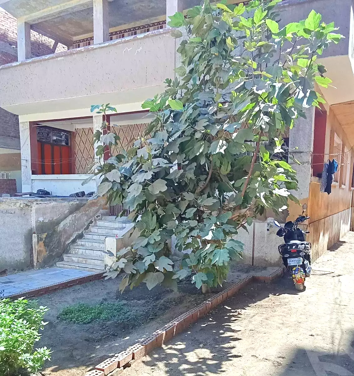 https://aqarmap.com.eg/en/listing/7243204-for-sale-monufia-shibin-el-kom-el-mselha
