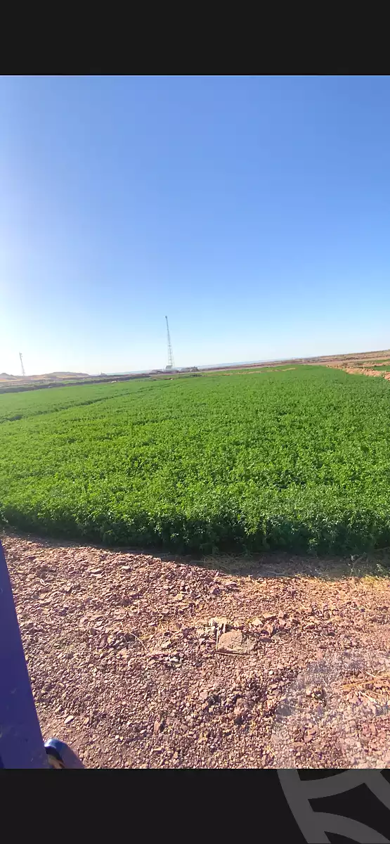 https://aqarmap.com.eg/ar/listing/7264760-for-sale-new-valley-farafra
