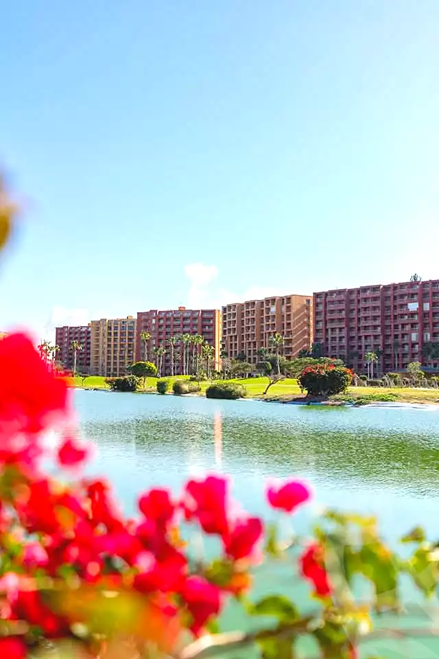 https://aqarmap.com.eg/en/listing/7273404-for-sale-north-coast-resorts-porto-golf-marina