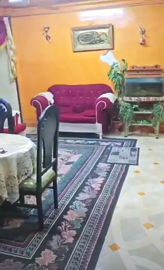 https://aqarmap.com.eg/ar/listing/7273856-for-sale-cairo-ain-shams-ain-shams-el-sharkia-shr-brhym-bd-lrzq