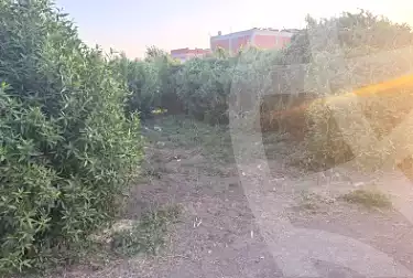 https://aqarmap.com.eg/ar/listing/7275831-for-sale-dakahlia-mit-ghamr-kafr-el-shaikh-helal