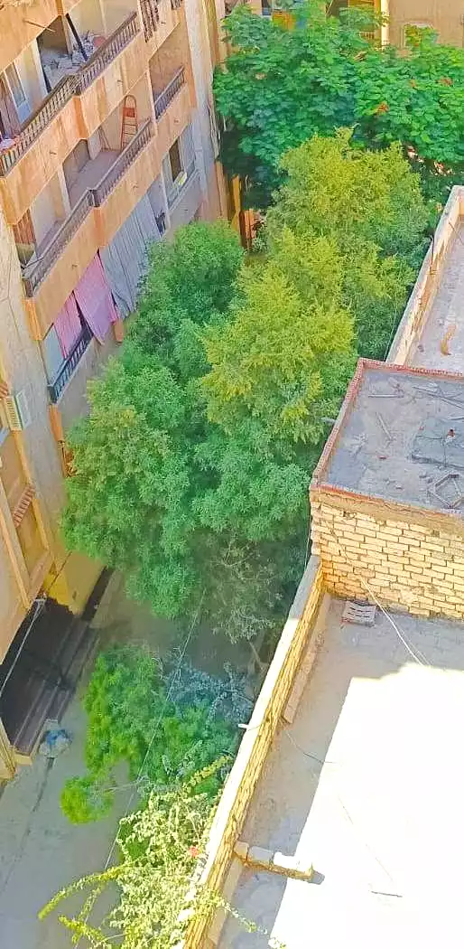 https://aqarmap.com.eg/ar/listing/7275872-for-sale-alexandria-al-agamy-lbytsh-el-hanafeya-st