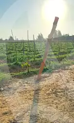 https://aqarmap.com.eg/ar/listing/7276211-for-sale-sharqia-bilbeis-belbes-city