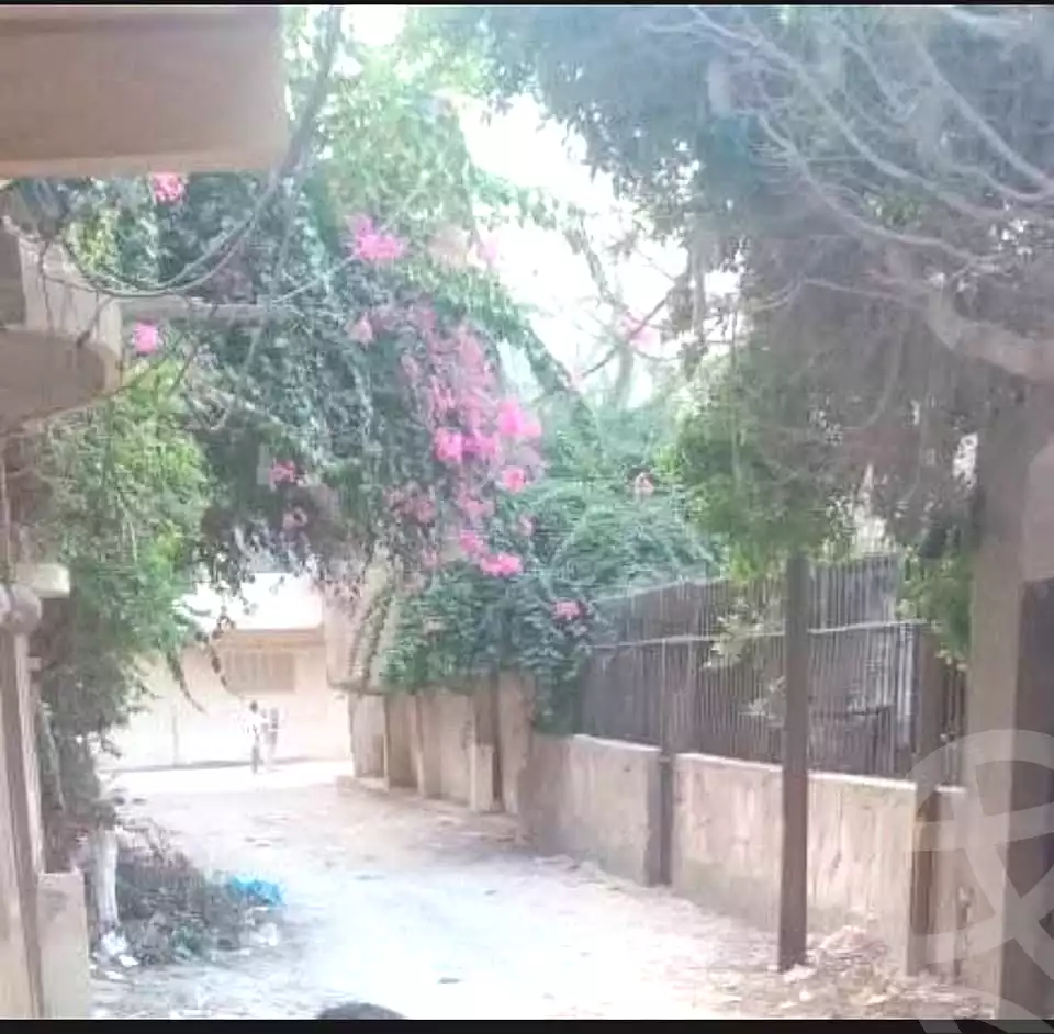 https://aqarmap.com.eg/ar/listing/7278496-for-sale-alexandria-al-agamy-lbytsh-shahr-al-assal-st