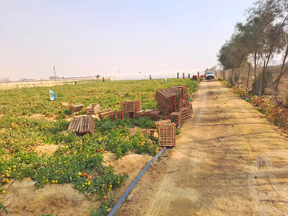 https://aqarmap.com.eg/ar/listing/7280971-for-sale-el-fayoum-tamiya-moshat-el-doktour-el-gamal