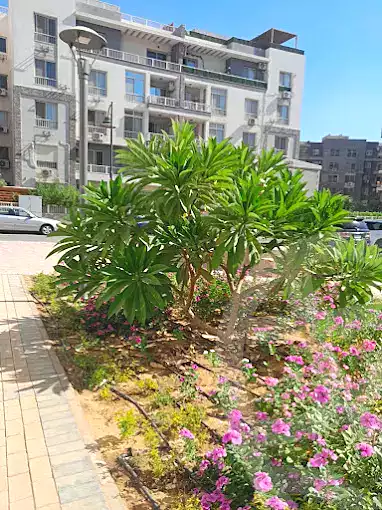 https://aqarmap.com.eg/en/listing/7281028-for-sale-cairo-new-cairo-compounds-jyd