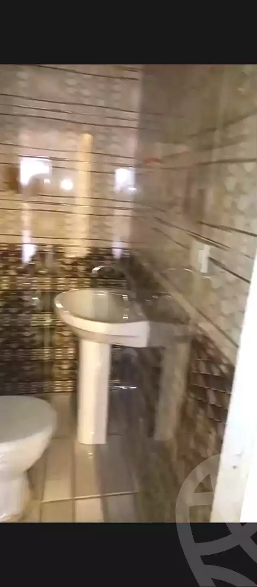 https://aqarmap.com.eg/en/listing/7284703-for-rent-cairo-ain-shams-jsr-lswys