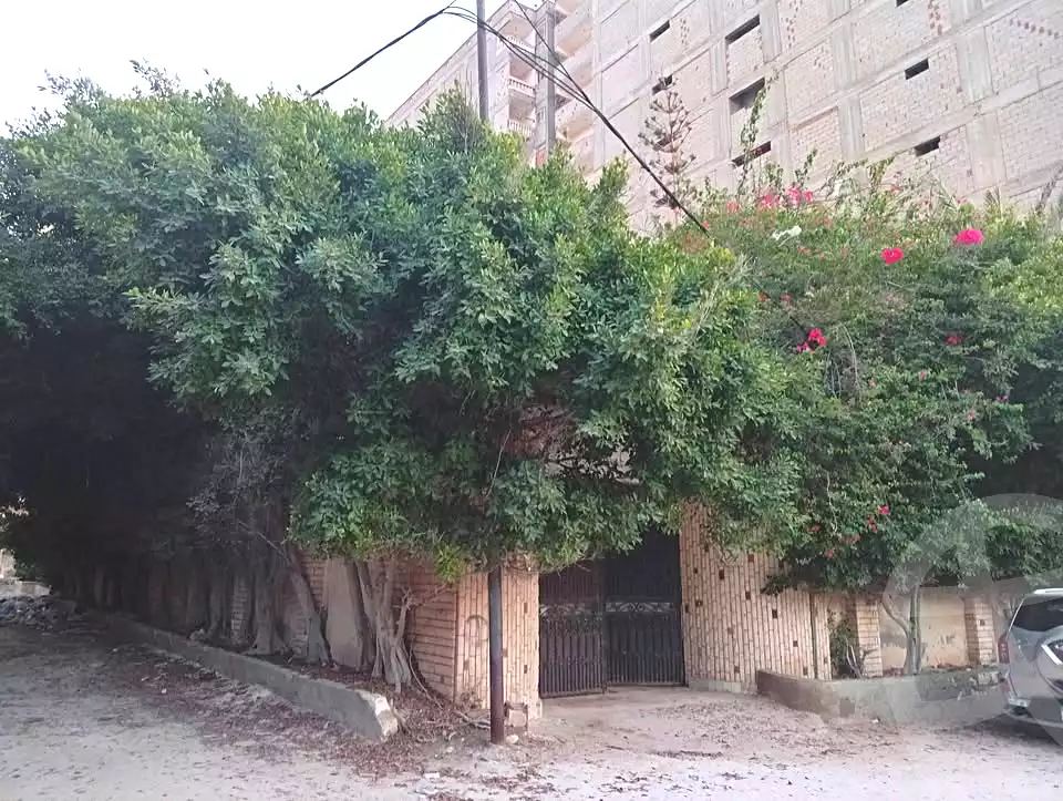 https://aqarmap.com.eg/en/listing/7284889-for-sale-alexandria-el-amreya-el-kilo-26