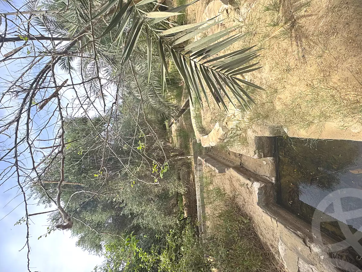 https://aqarmap.com.eg/en/listing/7285602-for-sale-marsa-matruh-siwa-oasis-wahet-siwaa-city