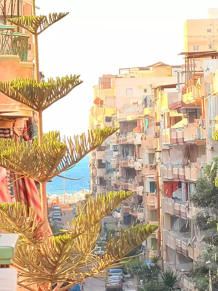 https://aqarmap.com.eg/ar/listing/7287324-for-sale-alexandria-al-agamy-shataa-el-nakheel